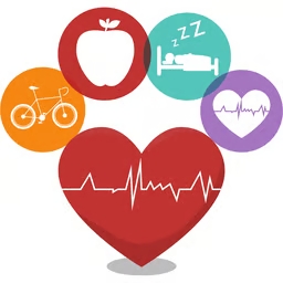 Vitonella sağlık planını inceleyen kullanıcı